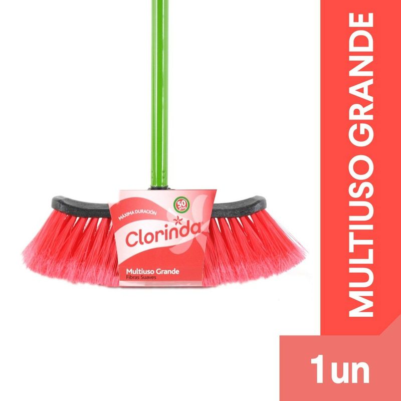 Clorinda Escobillon 1UN