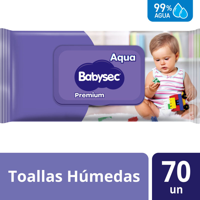 Babysec Toallitas Humedas 70 UN