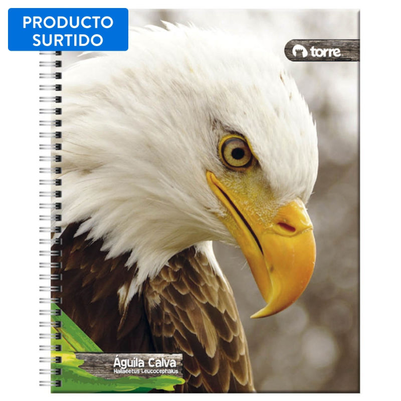Cuaderno Diseño Pailita 100 hojas 1 UN