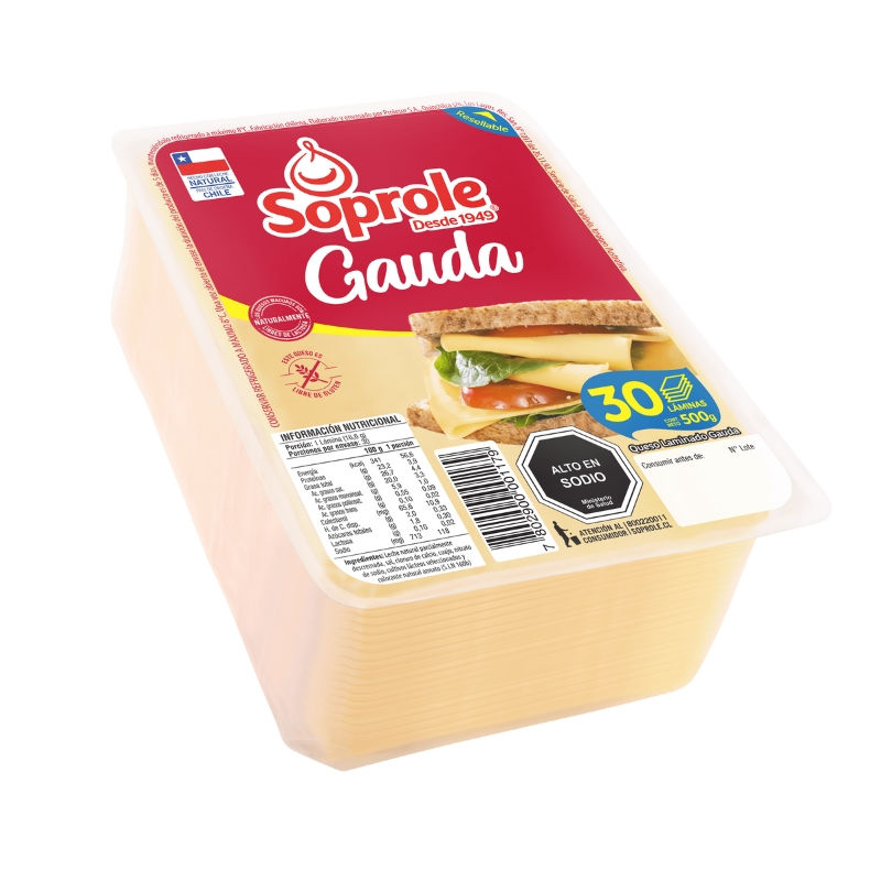 Huilco Edam Queso Laminado 500 grs
